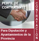 Acceso directo a la pgina de la Diputacin Provincial de Zaragoza del perfil del contratante.